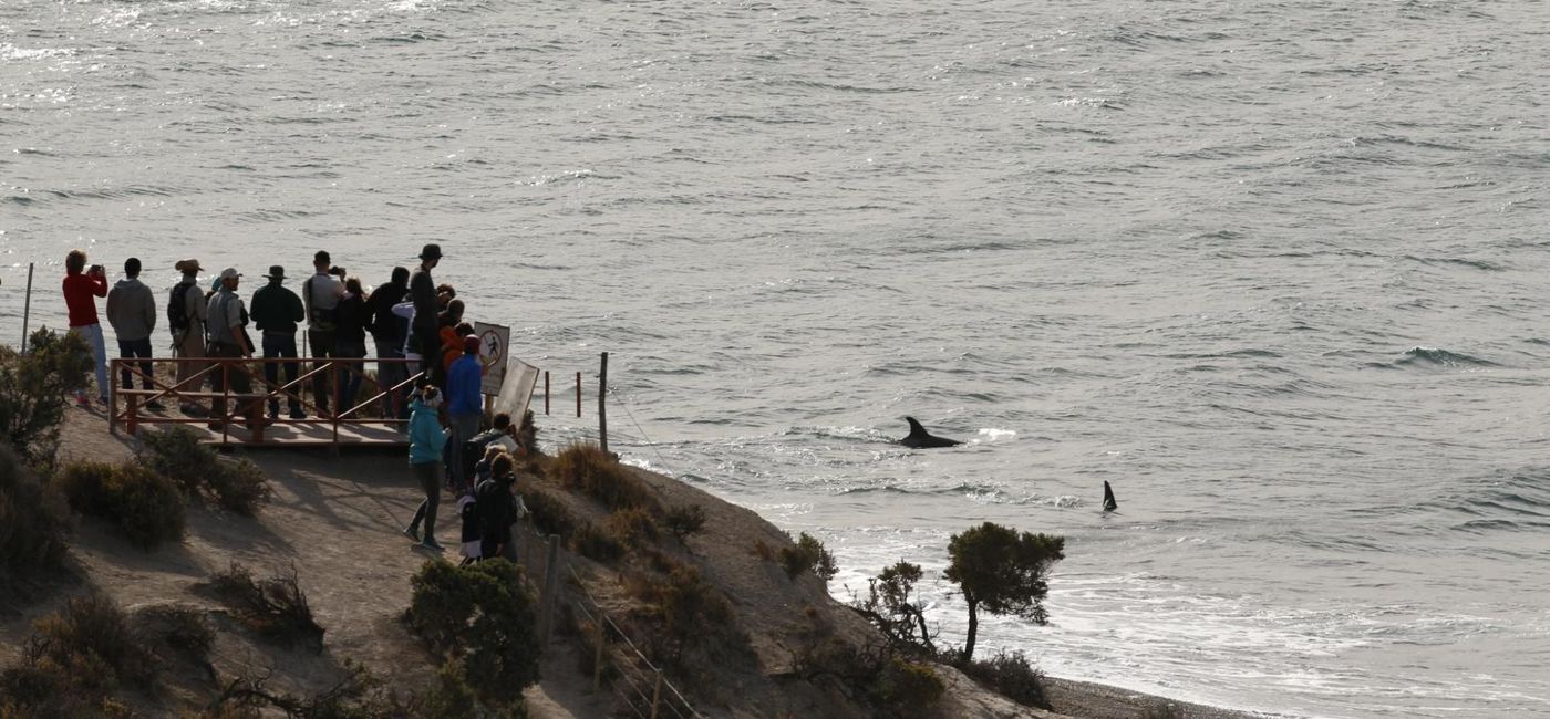 Image: This region in the Argentinean Patagonia receives the largest breeding population of southern right whales. (Visit Argentina)