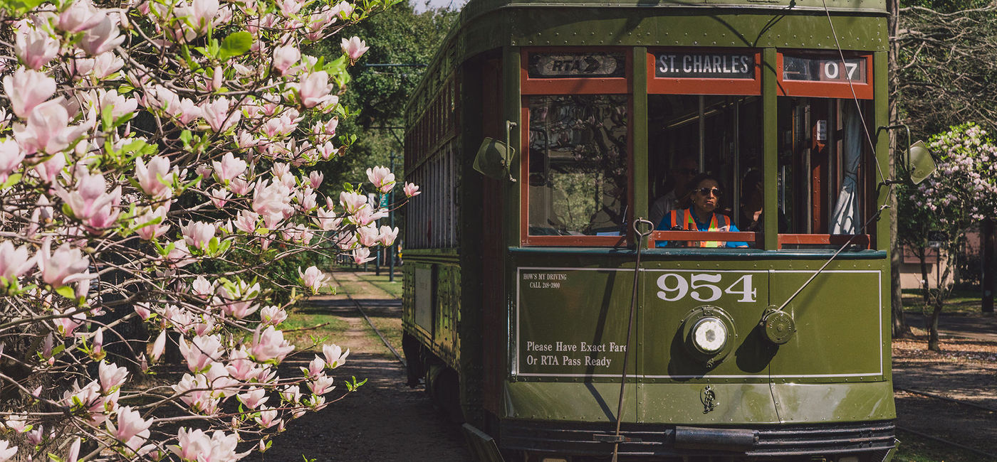 Image: PHOTO: St. Charles streetcar in New Orleans (Photo via Paul Broussard / New Orleans & Company) (Paul Broussard/New Orleans & Company)