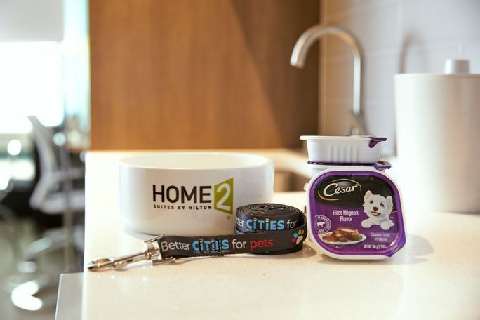 Pet-friendly, Hilton, hotels CESAR Canine Cuisine, dogs, food, meals, International Dog Day