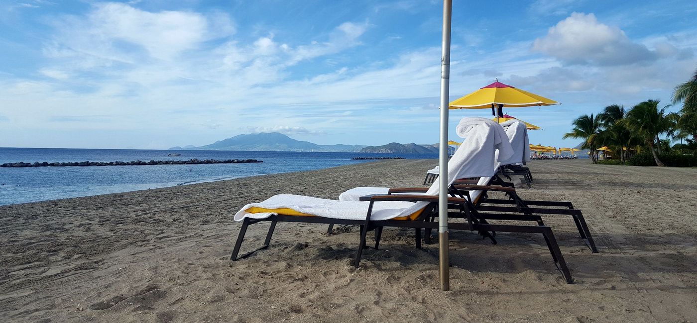 Image: Three native turtle species return to Nevis beaches each year to nest. (Photo by Bran Major) (Brian Major)
