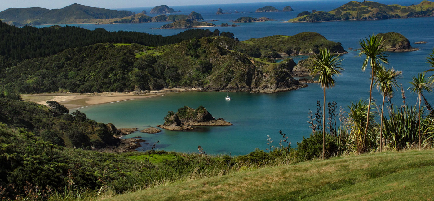 Image: Kauri Cliffs, New Zealand. (photo via Jim  Byers/TravelPulse Canada)