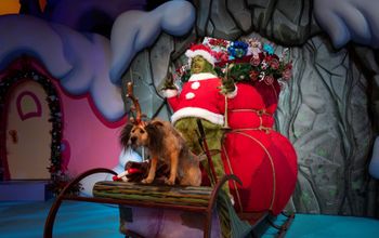 Grinchmas at Universal Orlando