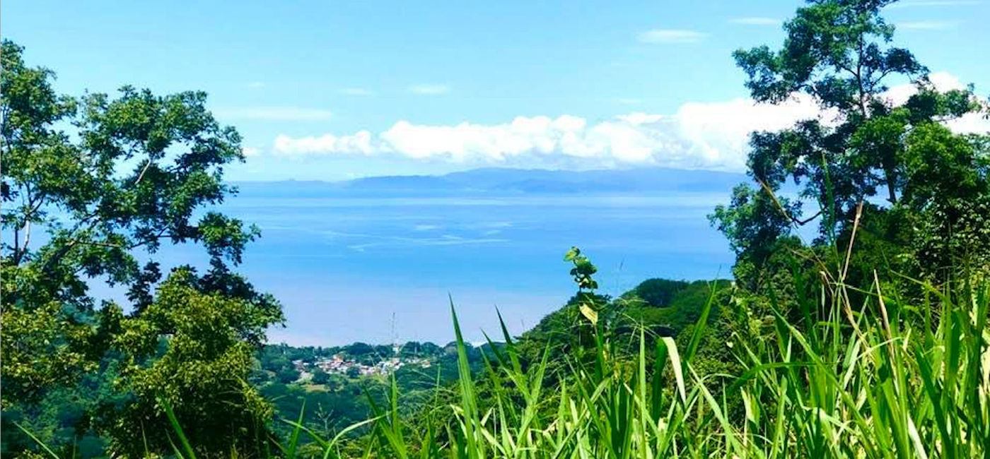Image: Carara National Park (Photo via Noreen Kompanik)