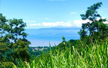 Carara National Park