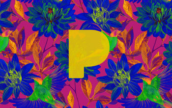 Pandora Logo