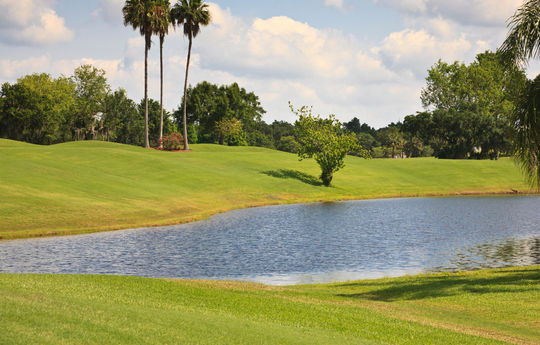 Golf in Sarasota, Florida