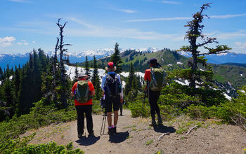 Trekking in Olympic National Park.