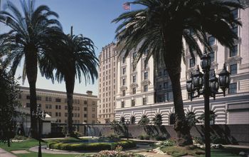 Hotel exterior and garden with palm trees