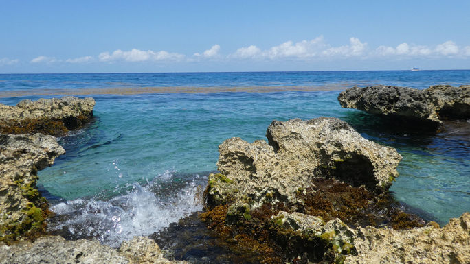 Cozumel, Mexico.