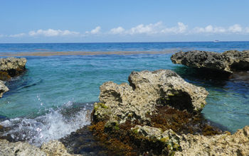Cozumel, Mexico.