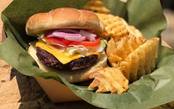 SeaWorld, burger, travel