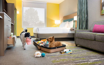 Home2 Suites by Hilton, Hilton, pet-friendly, dog, pets