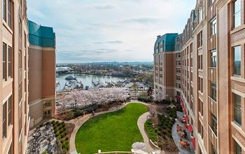 Mandarin Oriental Washington DC cherry blossoms