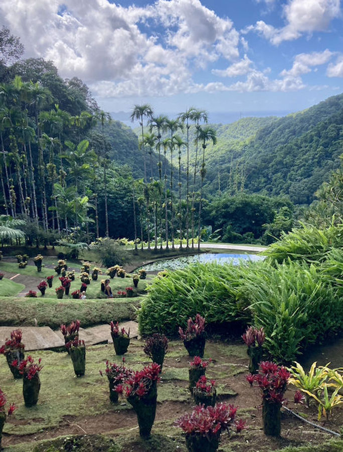 Le Jardin de Balata Le Jardin de Balata