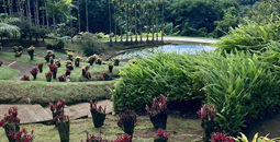 Le Jardin de Balata 