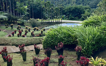 Le Jardin de Balata 