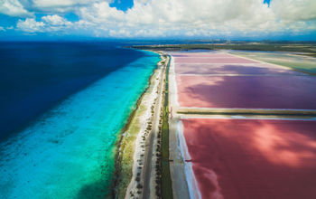 Bonaire landscape