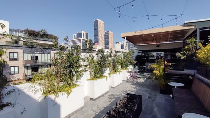 Rooftop in swanky Polanco neighborhood, Pug Seal Anatole France.