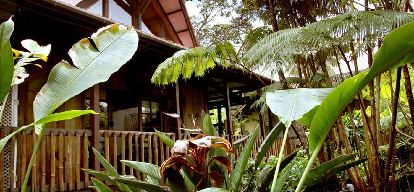 Image: PHOTO: Exterior view of Lotus Garden Inn, Hawaii. (Photo via Lotus Garden Inn)