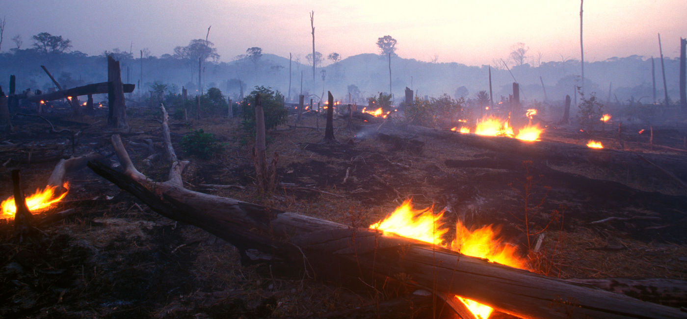 Image: FOTO: Un incendio forestal en el Amazonas. (foto de Brasil2 / E+ Getty Images)