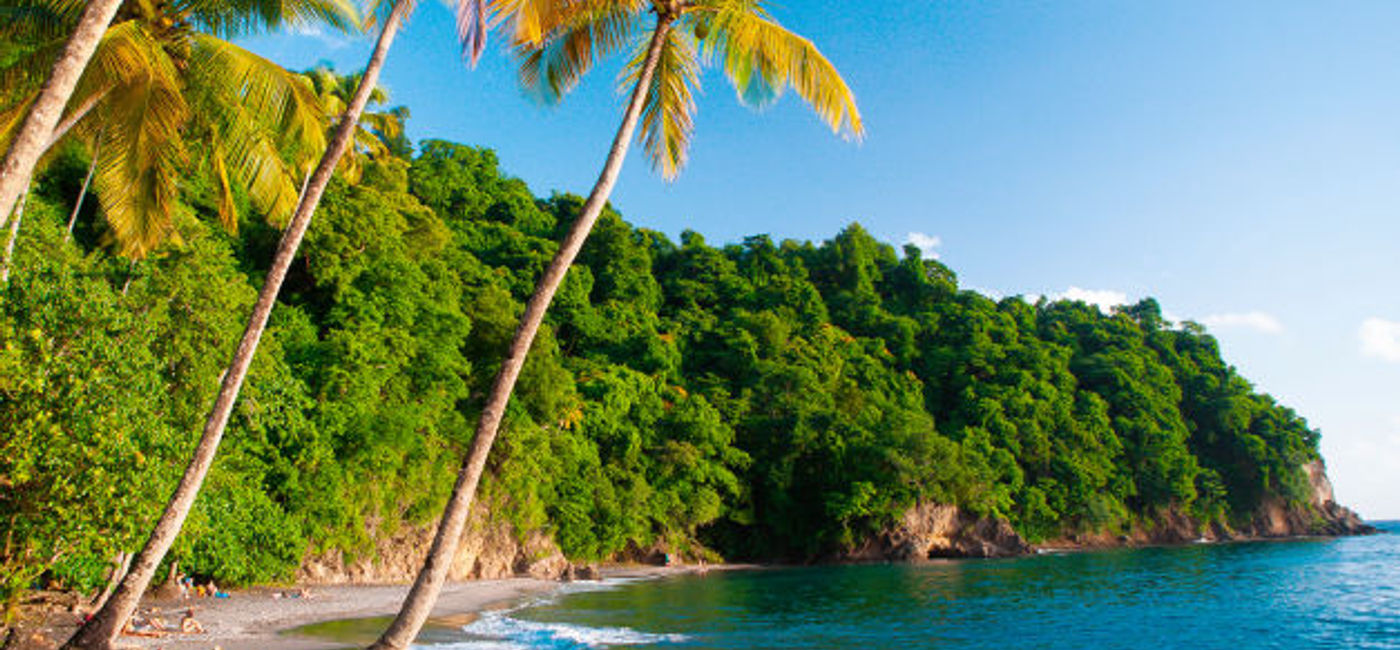 Image: Martinique (Comité Martiniquais du Tourisme)