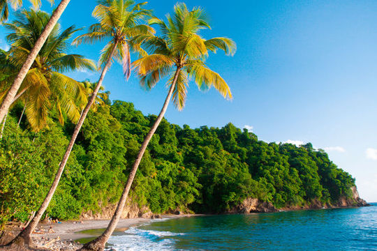 Martinique