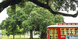 New Orleans Canal streetcar