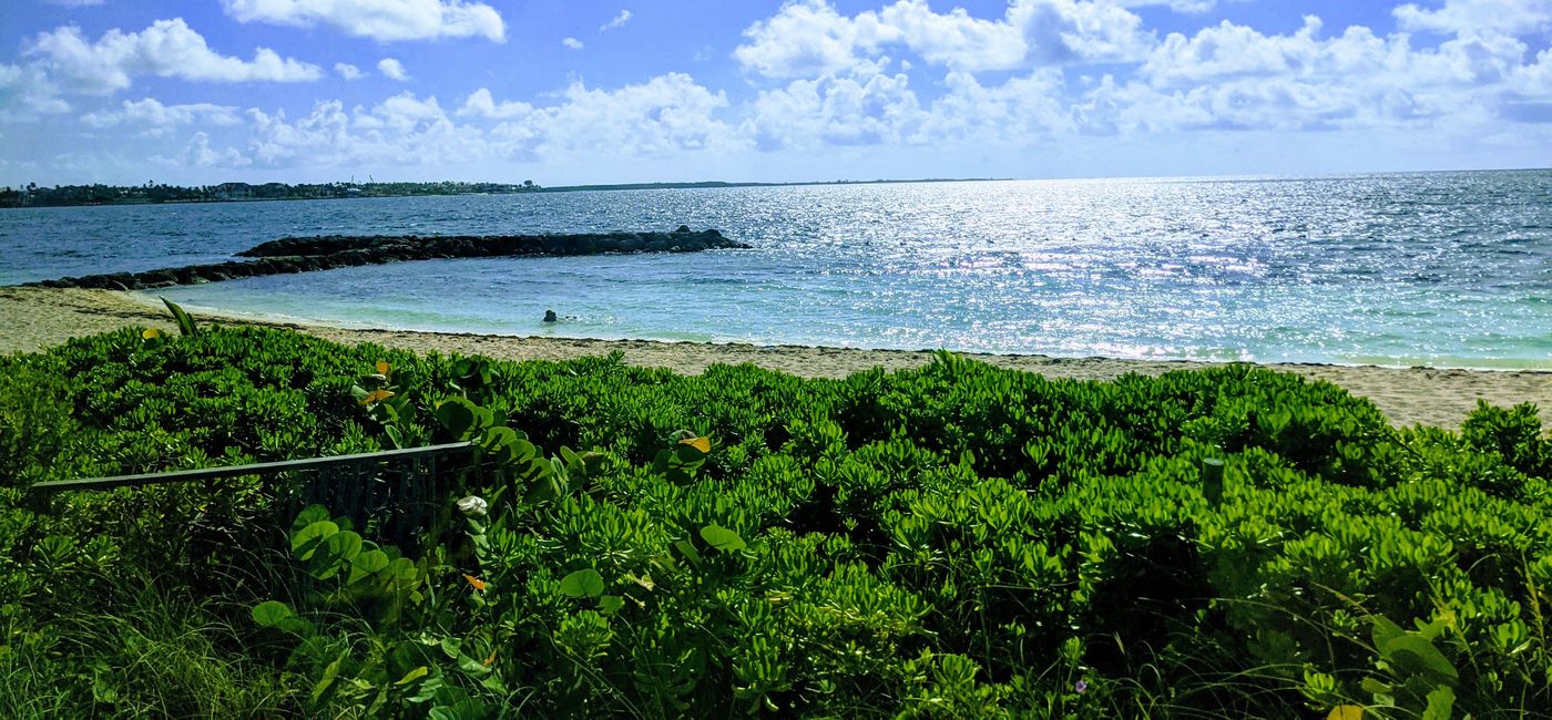 Image: Beach in Nassau, Bahamas (photo by Eric Bowman)