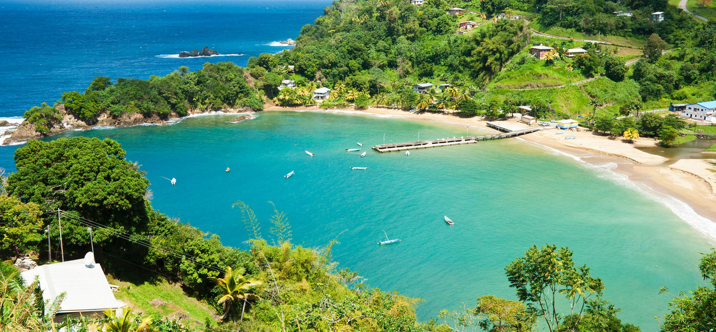 Image: Tropical bay surrounded by the Caribbean Sea on the north coast of Tobago. (photo via iStock/Getty Images Plus/DebraLee Wiseberg)