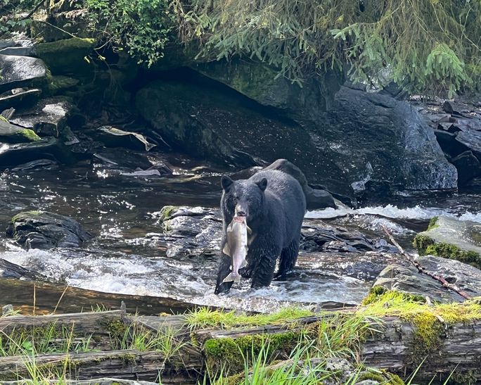 Firsthand images from a Princess Cruises Alaska voyage.