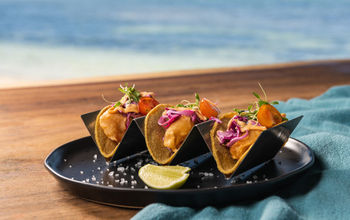 A taco dish at Hyatt Ziva Riviera Cancun