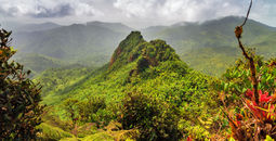 El Yunque National Forest in Puerto Rico