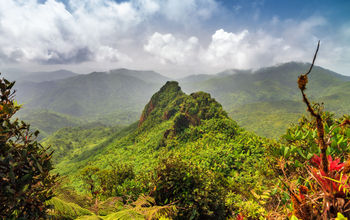 El Yunque National Forest in Puerto Rico