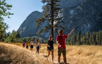 Intrepid Travel Walking Yosemite National Park