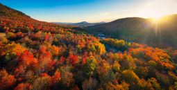 Autumn at sunrise in New England.