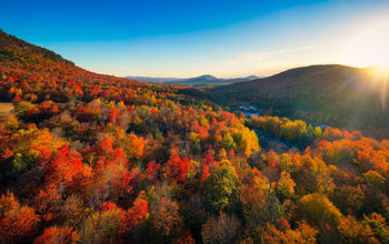 Autumn at sunrise in New England.