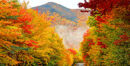 White Mountain National Forest in New Hampshire during autumn.