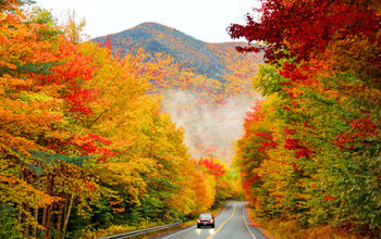 White Mountain National Forest in New Hampshire during autumn.