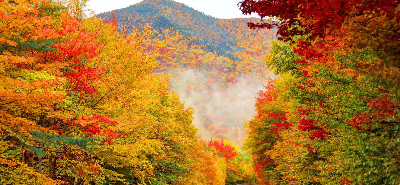 Image: PHOTO: White Mountain National Forest in New Hampshire during autumn. (Photo via iStock/Getty Images/DenisTangneyJr)