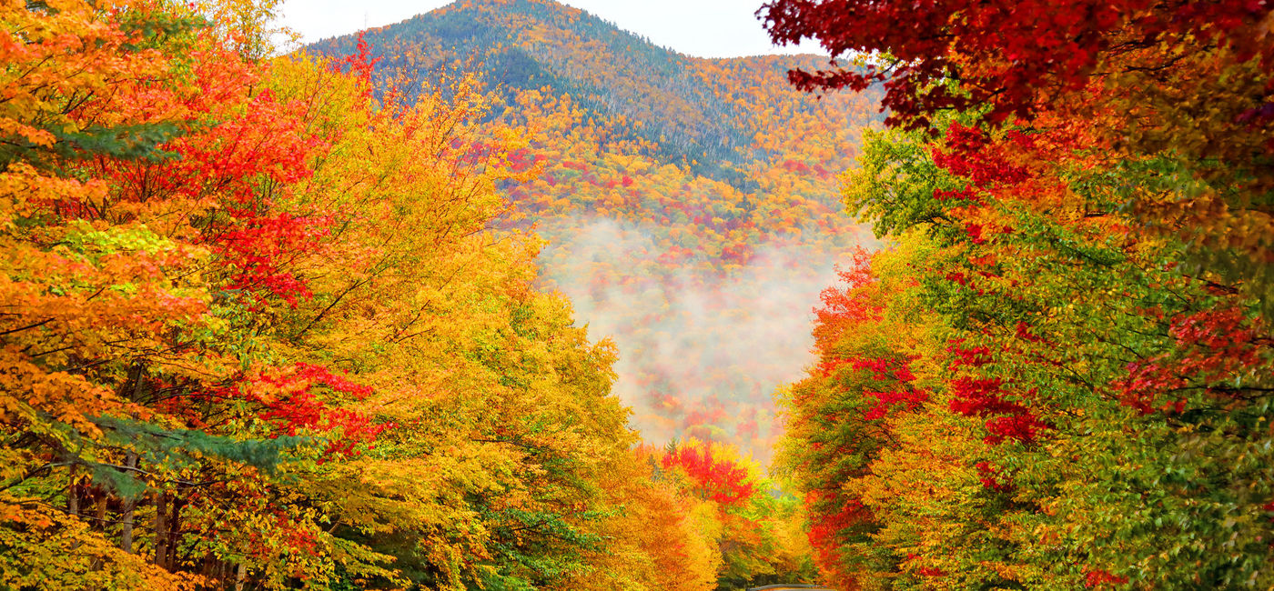 Photo: PHOTO: White Mountain National Forest in New Hampshire during autumn. (Photo via iStock/Getty Images/DenisTangneyJr)