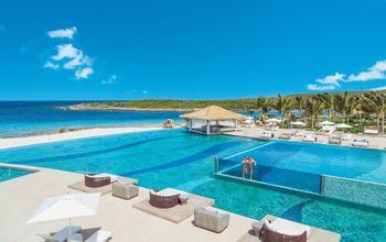 Travel Advisor Celebration Offer