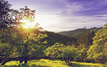 Sonoma, California