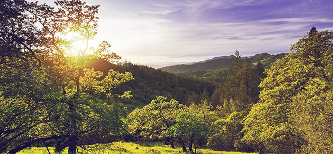Image: PHOTO: Sonoma, California. (photo via Pixabay)