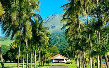 Montagne Pel&#233;e, Martinique