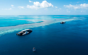 Great Barrier Reef tours, Hornblower Group