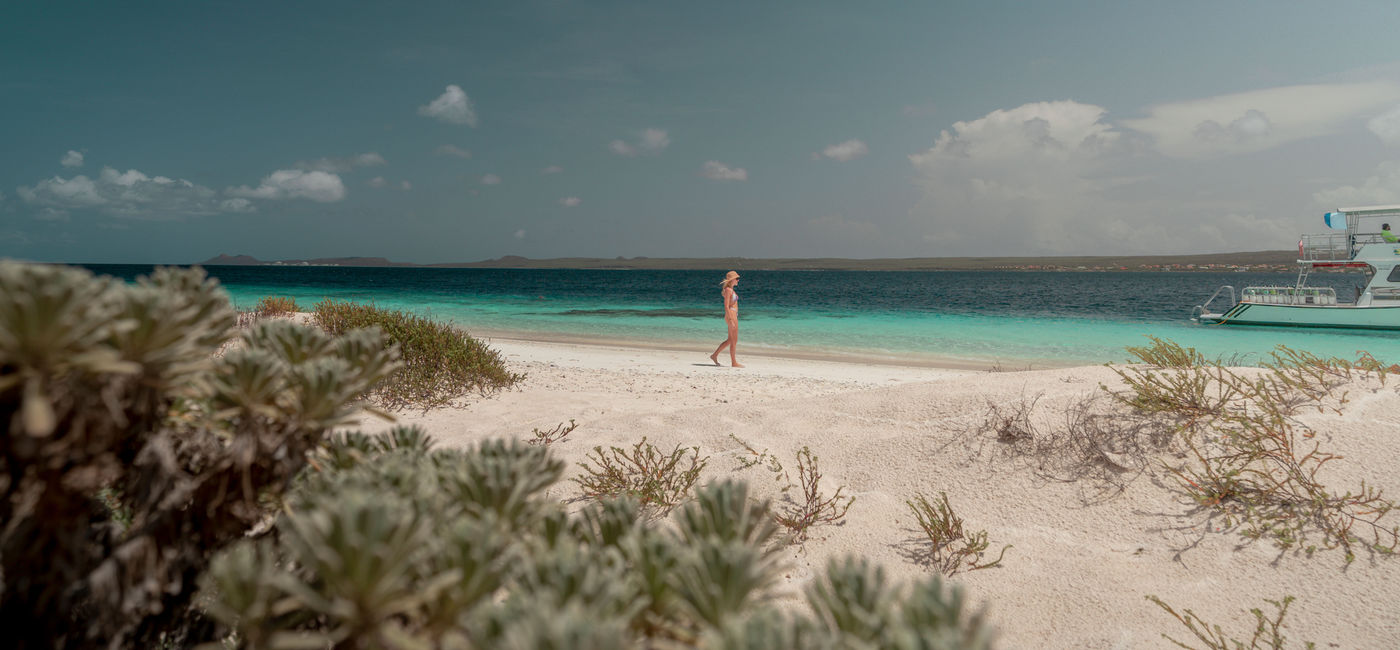Image: A beach in Bonaire (photo by @iamelliott)