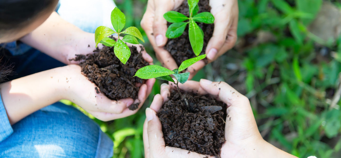 Image: Sustainability has become an important consideration for travelers. (photo via iStock/Getty Images Plus/VichienPetchmai)