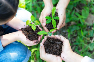 Sustainability, sustainable, ecology, eco-travel, voluntourism, plants, planting, soil, environment, environmental
