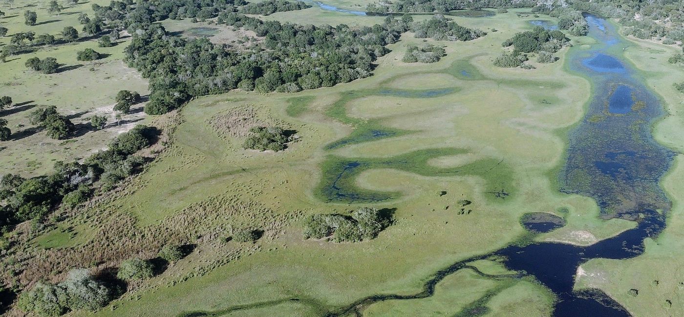 The best time to visit the Pantanal - Bonito Way