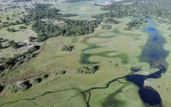 Aerial view of Brazil&#39;s Pantanal region, South America, Pantanal, Brazil